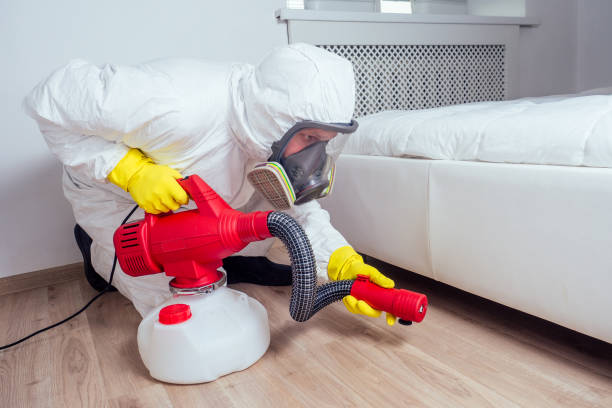 Best Fumigation Services  in Arkwright, SC